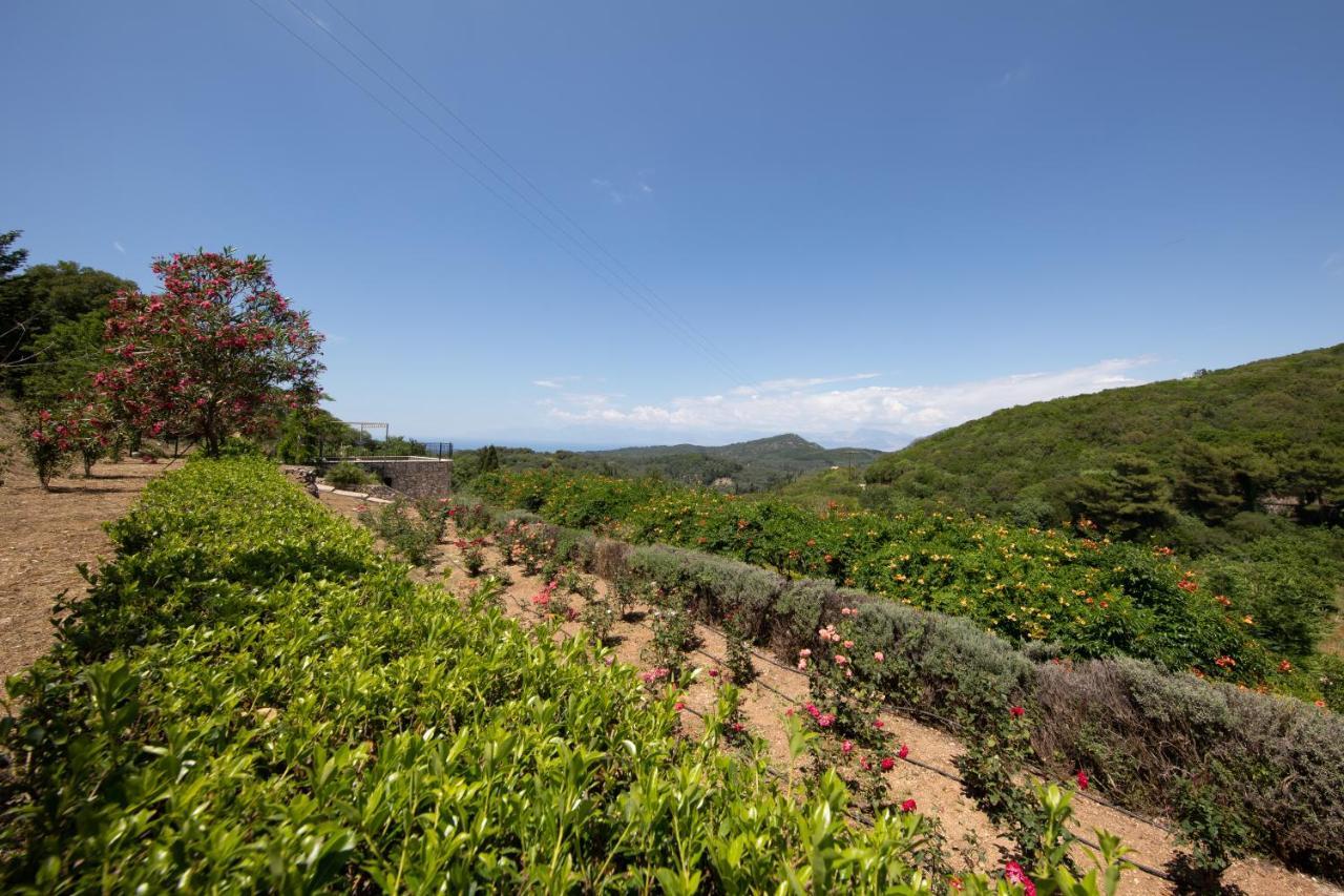 Agallis Corfu Residence Sokrakion Bagian luar foto
